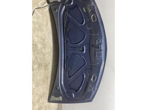 Hood RENAULT CLIO III (BR0/1, CR0/1) 1.5 dCi (BR17, CR17) | BP22409281C1