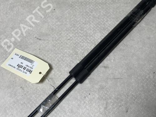 tailgate-lift-support-renault-scenic-ii-jm01_-2003-2004-2005-2006-2007-2008-2009-2010-29726562 main image