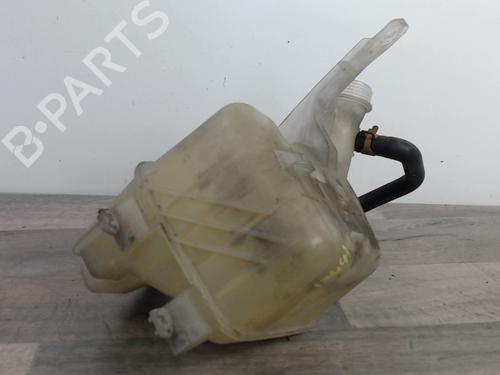 Ekpansionstank RENAULT VEL SATIS (BJ0_) 2.2 dCi (BJ0E, BJ0F) | BP26199237C120