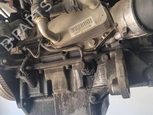 Engine OPEL INSIGNIA A (G09) 2.0 CDTI (68) | BP37176414M1 - Image 11