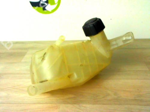 Used Expansion tank RENAULT MEGANE II (BM0/1_, CM0/1_) 1.5 dCi (BM02, BM13, BM2A, CM02, CM13) (101 hp) 24023216
