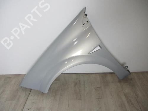 Used Left front fenders RENAULT MEGANE II Saloon (LM0/1_) 1.5 dCi (LM0F, LM0T, LM2B) (82 hp) 30807101