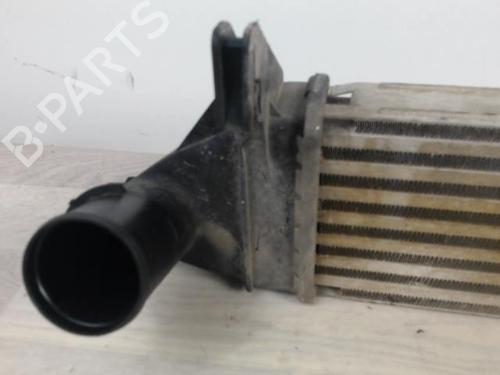 Intercooler DACIA LOGAN Pickup (US_) 1.5 dCi (US0W) | BP23271516M30 