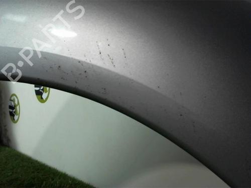 Forkjerm venstre VW NEW BEETLE (9C1, 1C1) 1.9 TDI | BP24021651C41 