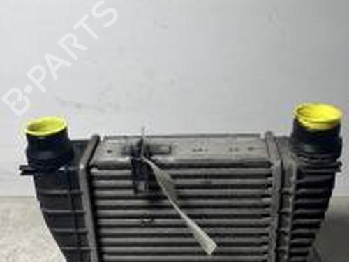 Intercooler RENAULT CLIO III (BR0/1, CR0/1) 1.5 dCi (75 hp) 31085020