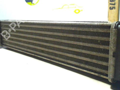 Intercooler FIAT GRANDE PUNTO (199_) 1.3 D Multijet | BP25618173M30