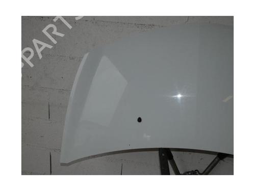 Hood RENAULT CLIO III (BR0/1, CR0/1) 1.5 dCi (BR17, CR17) | BP21821972C1 