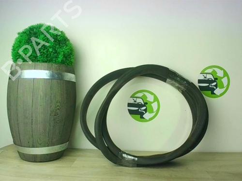 Gummiliste RENAULT ZOE (BFM_) ZOE (88 hp) 24025154