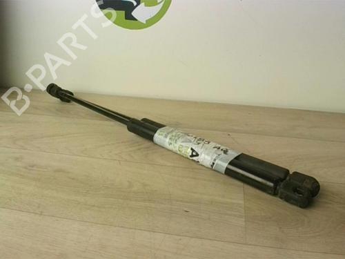 Tailgate lift support AUDI TT (8N3) 1.8 T | BP25618181C138 