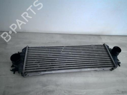 Intercooler RENAULT TRAFIC II Bus (JL) 1.9 dCI 80 (JL0B) | BP24022477M30 