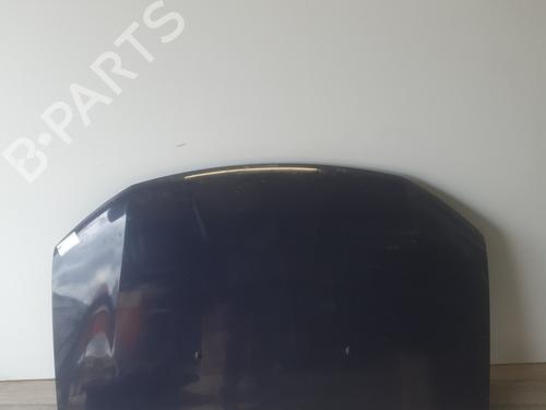 Used Hood Hood DACIA SANDERO II 1.2 (75 hp) 34447623 34447623