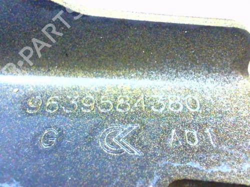 Hinge/Door check strap CITROËN C2 (JM_) 1.1 | BP24026361C146 