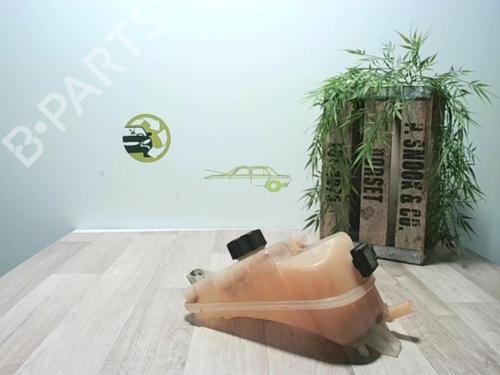 Expansion tank CITROËN BERLINGO / BERLINGO FIRST Box Body/MPV (M_) 2.0 HDI 90 (MBRHY, MCRHY) | BP25618191C120 