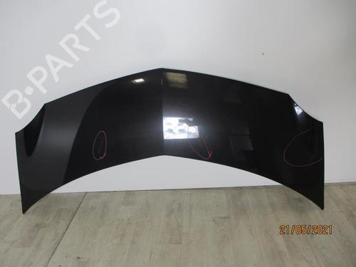 Capot RENAULT MODUS / GRAND MODUS (F/JP0_) 1.5 dCi (FP0F, JP0F) (86 hp) 24024113