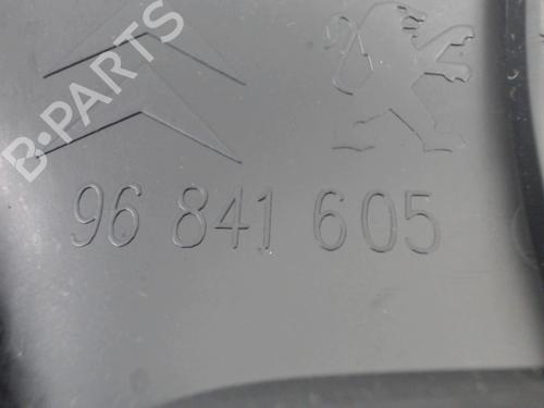 Mittelkonsole CITROËN C3 II (SC_) 1.4 HDi 70 (SC8HZC, SC8HR0, SC8HP4) | BP31252094I22 