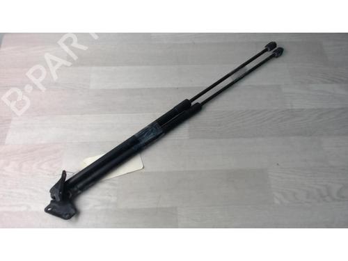 Tailgate lift support OPEL CORSA D (S07) 1.3 CDTI (L08, L68) | BP21182952C138 