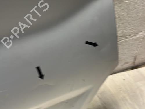 Right front door RENAULT TRAFIC II Van (FL) 2.0 dCi 90 (FL0H, FL00, FL01, FL0M, FL0P, FL0S) | BP31147423C3 