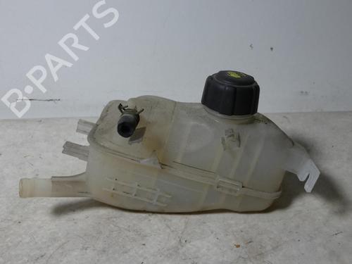 expansion-tank-renault-megane-iii-hatchback-bz01_-b3_-2008-32350124 main image