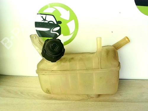 Expansion tank RENAULT MEGANE II (BM0/1_, CM0/1_) 1.9 dCi (BM0G, CM0G) | BP24021854C120 