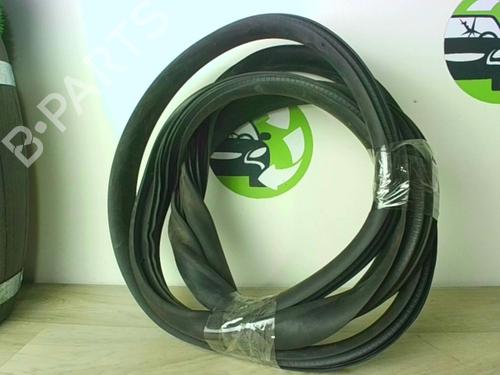 goma-contorno-puerta-renault-zoe-bfm_-2012-24025155 main image