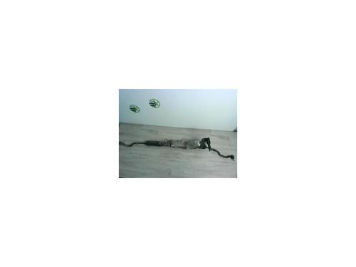 Used Steering rack RENAULT LAGUNA III (BT0/1) 1.5 dCi (BT00, BT0A, BT0T, BT1J) (110 hp) 24024037