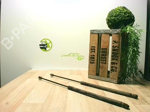 Tailgate lift support OPEL CORSA D (S07) 1.2 (L08, L68) | BP21181761C138