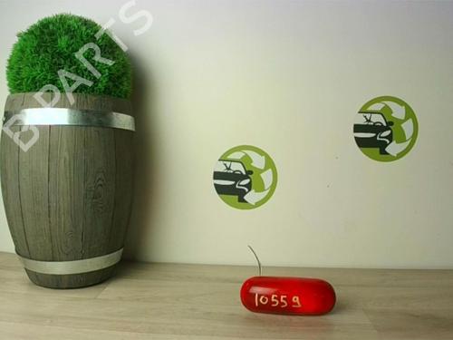 Rear fog light RENAULT KANGOO Express (FC0/1_) 1.5 dCi (FC07, FC1R) | BP24024271C37 