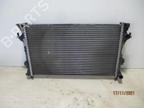 Used Water radiator RENAULT LAGUNA II (BG0/1_) 1.9 dCi (BG1A, BG1W, BG0G) (110 hp) 24024073