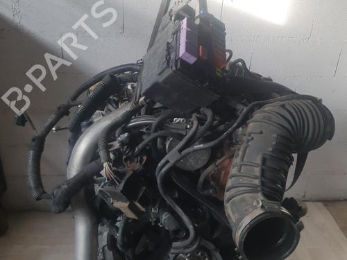 Motor RENAULT ESPACE IV (JK0/1_) 2.0 dCi (JK01, JK02, JK1J, JK1K, JK1H) (150 hp) 31252070