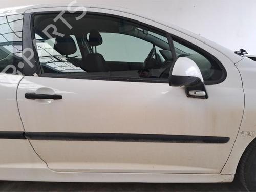 Used Right front door PEUGEOT 207 (WA_, WC_) 1.4 HDi (68 hp) 30705673