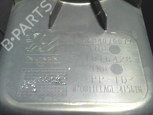 Consola central CITROËN C3 II (SC_) 1.4 HDi 70 (SC8HZC, SC8HR0, SC8HP4) | BP31252091I22 