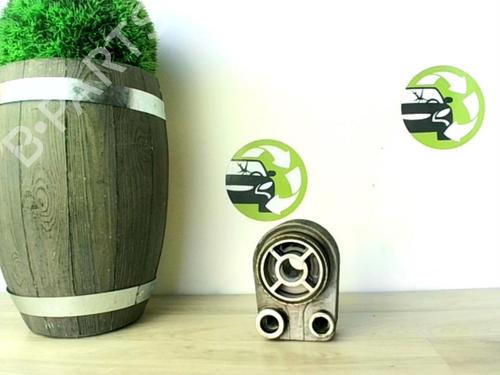 Used Fuel tank RENAULT KANGOO Express (FW0/1_) 1.5 dCi 85 (FW0K, FW0L, FW0B) (86 hp) 24027179