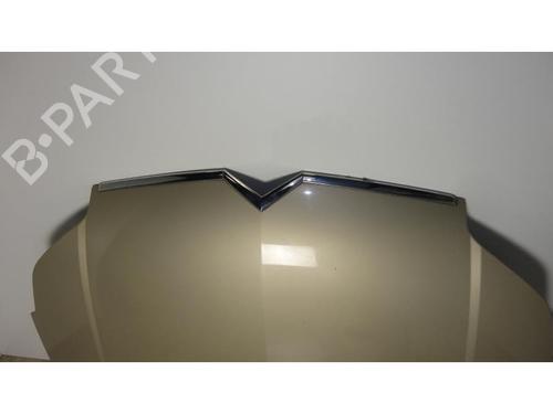 Hood CITROËN C5 II (RC_) 2.0 16V (RCRFJB, RCRFJC) | BP24024319C1