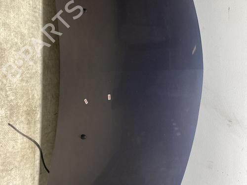 hood-renault-clio-iii-br01-cr01-15-dci-br17-cr17-7751476113-2005-2006-2007-2008-2009-2010-2011-2012-2013-2014-22409281 main image