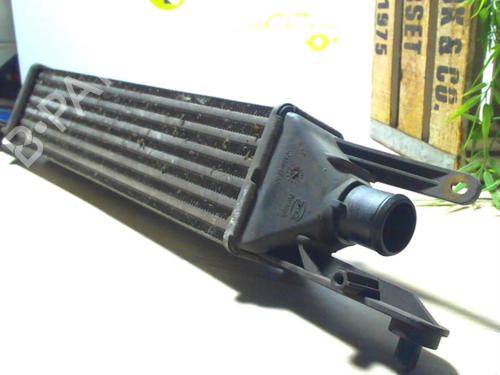 Intercooler FIAT GRANDE PUNTO (199_) 1.3 D Multijet | BP25618173M30