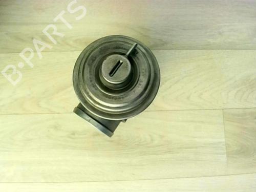 Egr BMW 5 (E39) 525 d | BP24021850M69 
