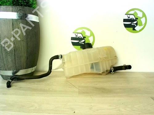 Used Expansion tank FIAT QUBO (225_) 1.3 D Multijet (225CXB1A, 225AXB1A, 225CXB11, 225AXB11,... (75 hp) 25618529