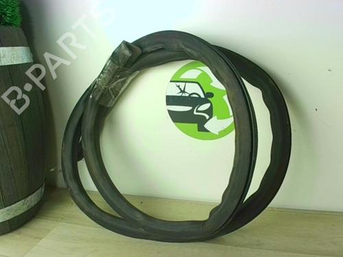 Gummiliste RENAULT ZOE (BFM_) ZOE | BP24025157C142