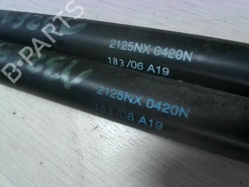 Used Tailgate lift support CITROËN C3 I (FC_, FN_) 1.4 HDi (68 hp) 21181305