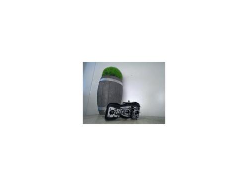 Nummerpladelys RENAULT SCÉNIC II (JM0/1_) 2.0 dCi (JM1K) (150 hp) 25982546