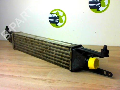 Used Intercooler FIAT GRANDE PUNTO (199_) 1.3 D Multijet (199.AXD11, 199.AXD1A, 199.AXD1B,... (90 hp) 26022493