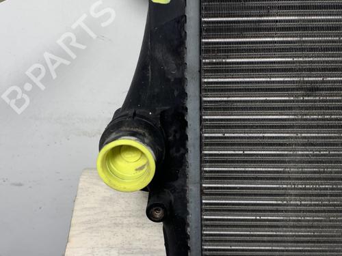 Water radiator SEAT ALTEA (5P1) 1.9 TDI | BP28216187M31