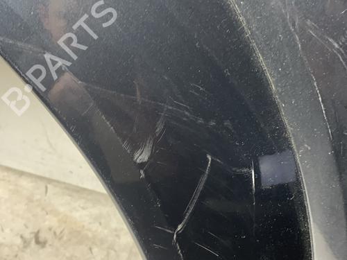 Left front fenders AUDI A2 (8Z0) 1.4 TDI | BP30807848C41