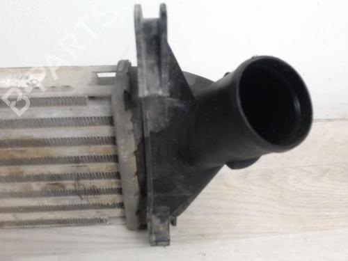 Intercooler DACIA LOGAN Pickup (US_) 1.5 dCi (US0W) | BP23271516M30 