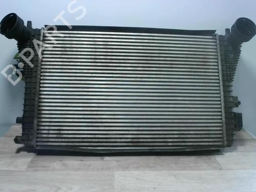 Intercooler SKODA OCTAVIA II (1Z3) 1.9 TDI | BP25993699M30