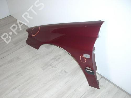 Left front fenders PEUGEOT 406 (8B) 2.0 HDI 90 | BP24024529C41 