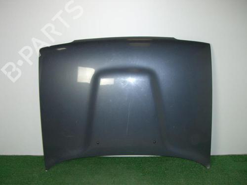 Used Hood FORD ECOSPORT 1.0 EcoBoost (140 hp) 24022244