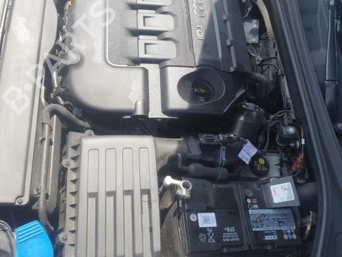 Glove box AUDI A3 Sportback (8VA, 8VF) 1.6 TDI | BP31086986C95 