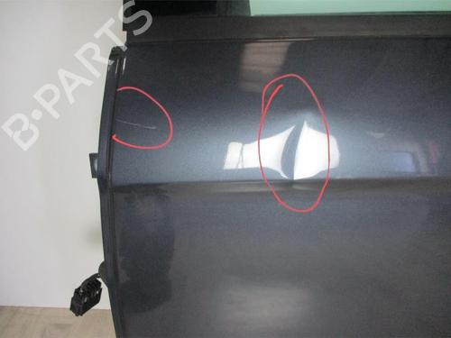 Left rear door FORD S-MAX (WA6) 1.8 TDCi | BP21182581C4 