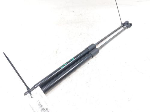 Gasdæmper bagklap RENAULT CLIO III (BR0/1, CR0/1) 1.2 16V (BR02, BR0J, BR11, CR02, CR0J, CR11) (75 hp) 26926068